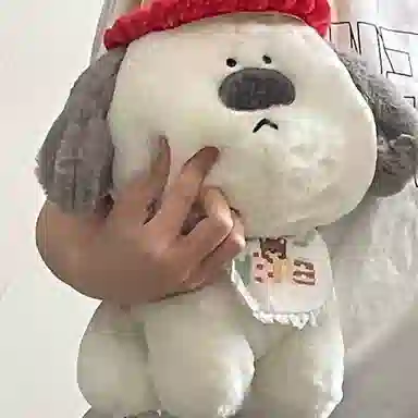 lionf 35cm