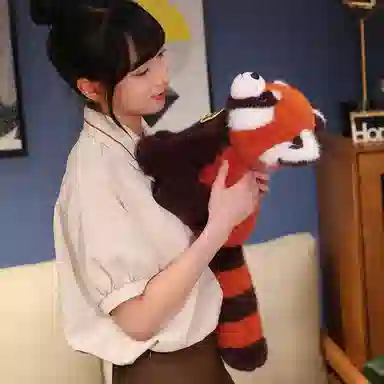 lionf 25cm30cm