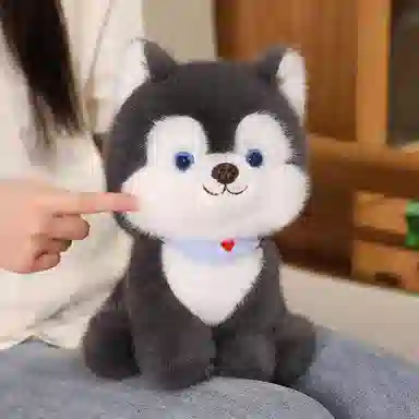 25cm35cm