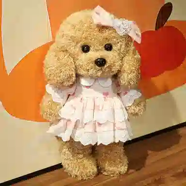 36cm