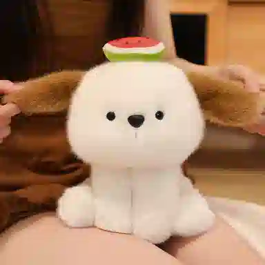 20cm