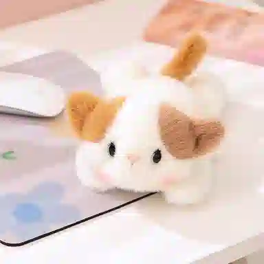 20cm25cm