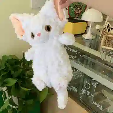 lionf 25cm
