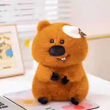 lionf 33cm23cm