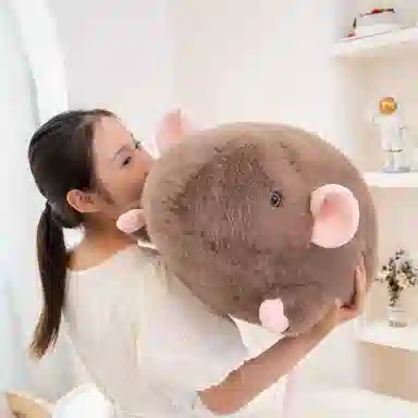 18cm35cm65cm