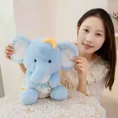 22cm30cm