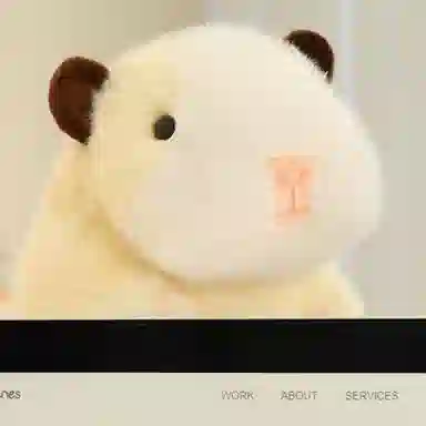 lionf 21cm26cm36cm45cm