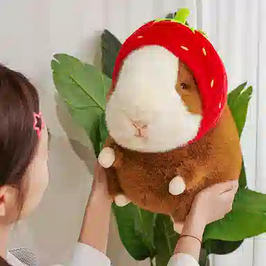 lionf 25cm40cm50cm