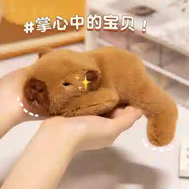 lionf 20cm