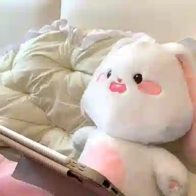 30cm40cm