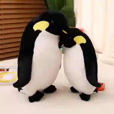 40cm50cm60cm80cm