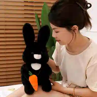 30cm40cm