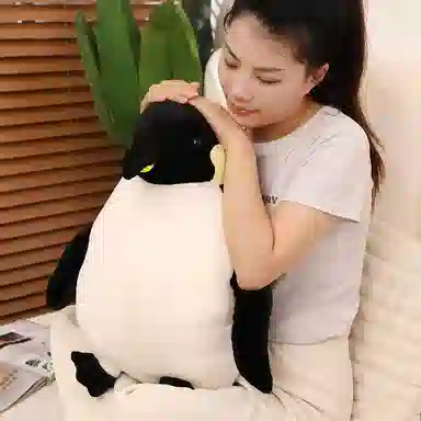 lionf 40cm50cm60cm80cm