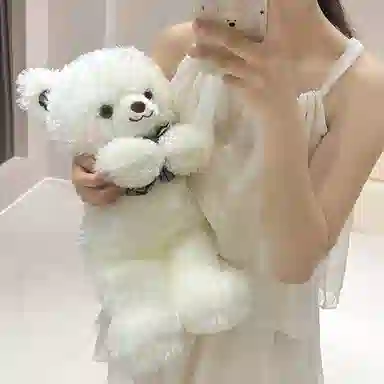 lionf 35cm45cm
