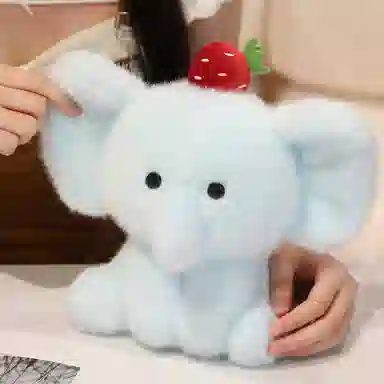 20cm