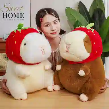 lionf 25cm40cm50cm