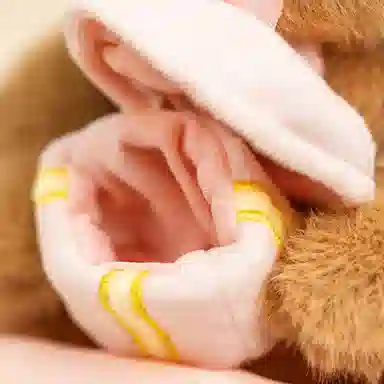 20cm