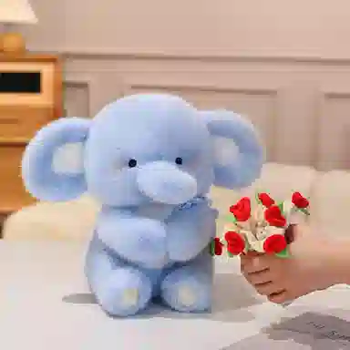 30cm