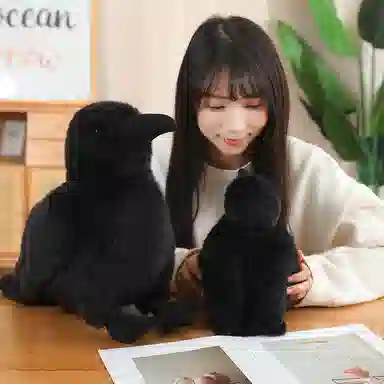 lionf 15cm25cm35cm