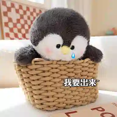 Q 12cm36cm55cm