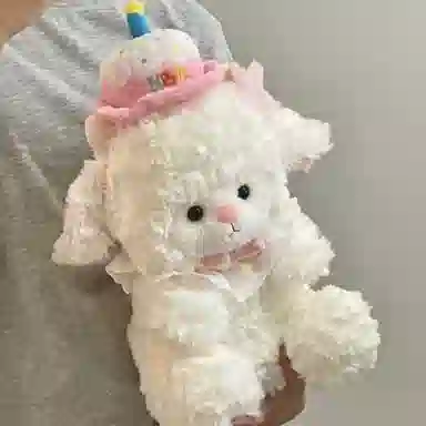 22cm32cm45cm