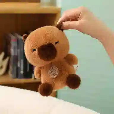 15cm