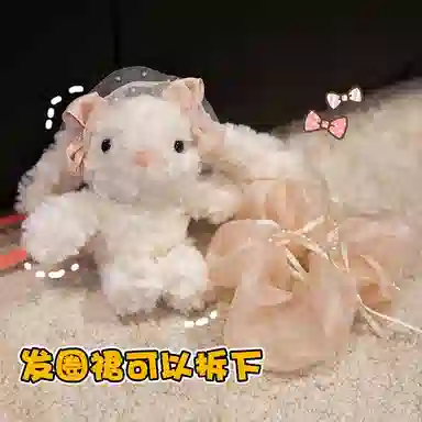 20cm