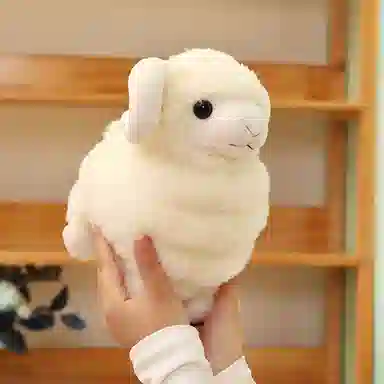 lionf 25cm