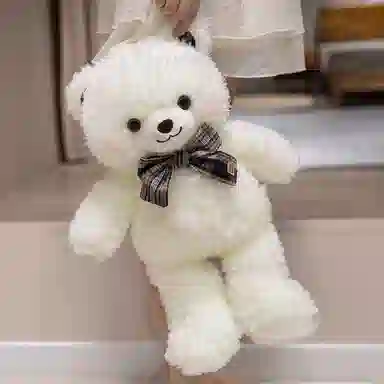 lionf 35cm45cm