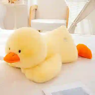 30cm45cm