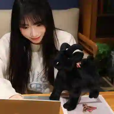 lionf 30cm