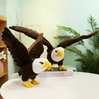 60cm90cm