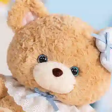 21cm30cm
