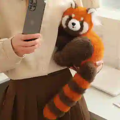 lionf 50cm70cm100cm