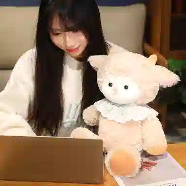 lionf 50cm