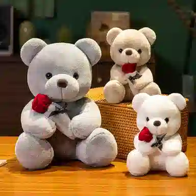 lionf 22cm35cm