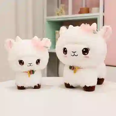 25cm30cm