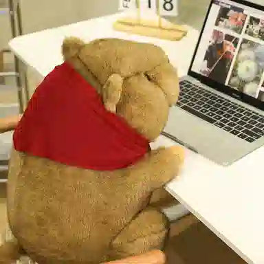 lionf 18cm25cm35cm45cm