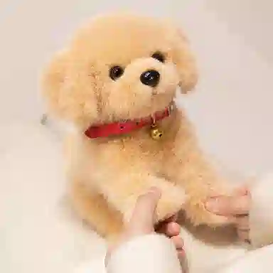 lionf 23cm28cm45cm