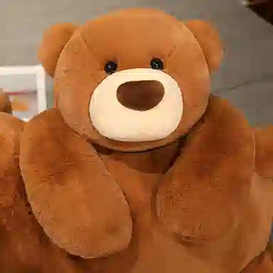 lionf 50cm70cm90cm120cm