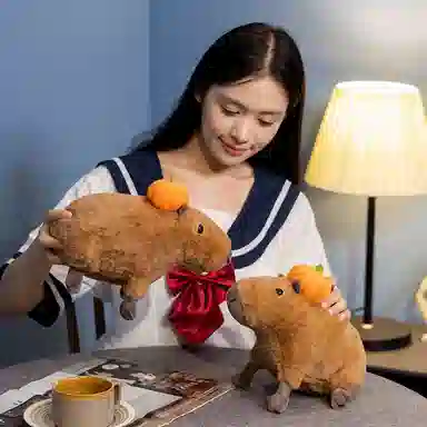 lionf 30cm