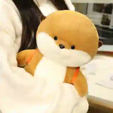 lionf 35cm