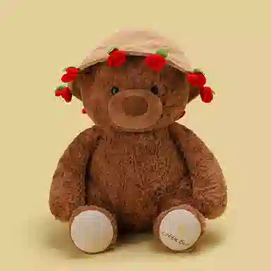lionf 25cm38cm
