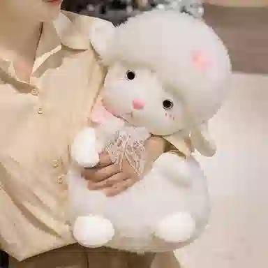 25cm38cm45cm