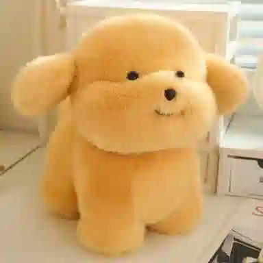 lionf 3 20cm30cm