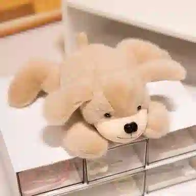 lionf 20cm