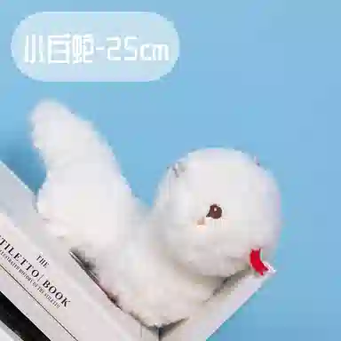 25cm