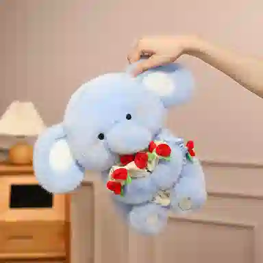 30cm