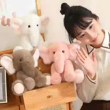 lionf 23cm35cm