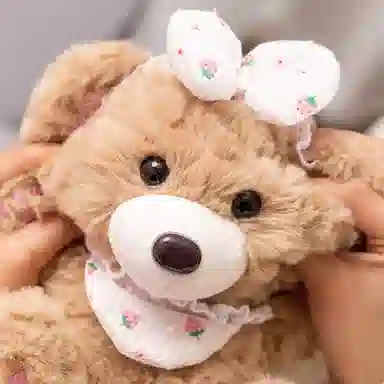 lionf 20cm